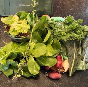 Sophia’s Pantry CSA Membership (Personal Share - 2026 Season 1)